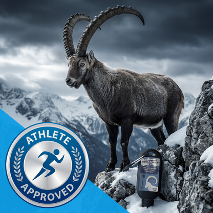 Athlete, Climber, Lifter, Gymnast Approved