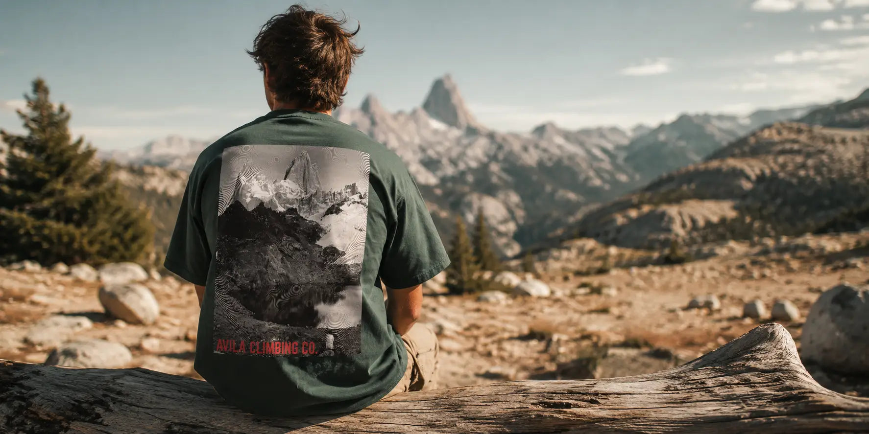 Person sitting on a log overlooking a mountain landscape wearing a green t-shirt with a graphic design.