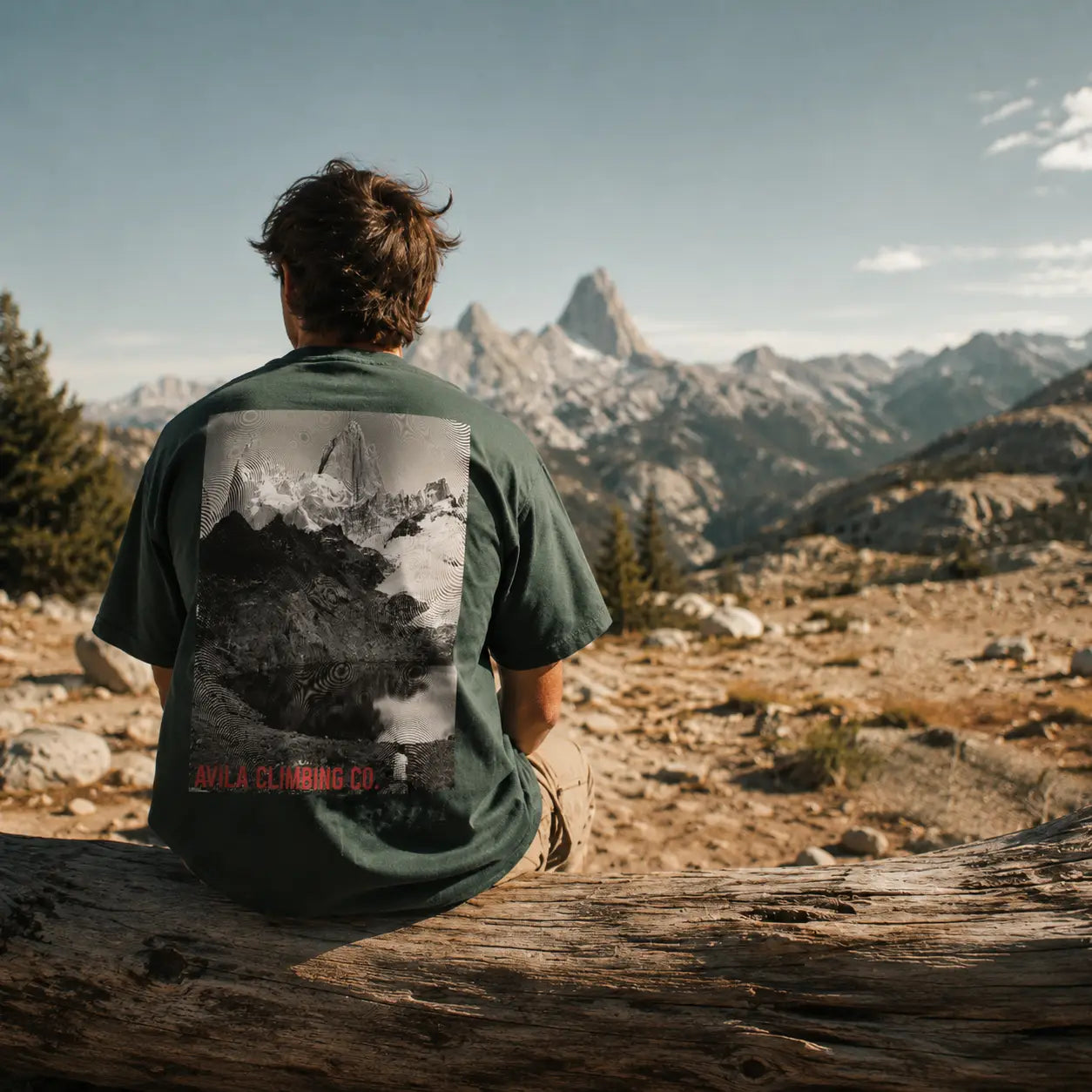 Person sitting on a log overlooking mountainous landscape wearing a green t-shirt with a mountain graphic.