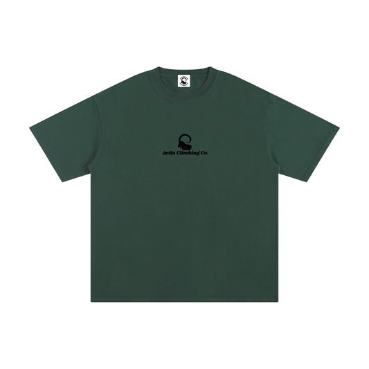 Avila Climbing Co. Fitz Roy Dreams heavyweight cotton climbing tee — forest green, front